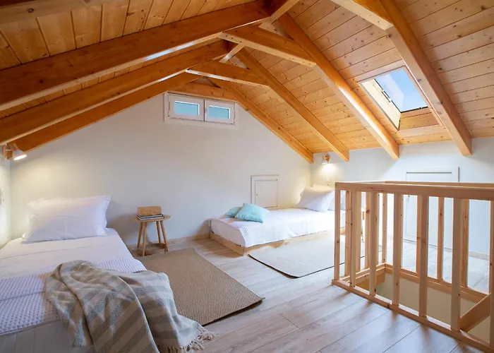 Chrisanto 1865 * Κατούνα